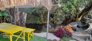 a yellow bench and an umbrella and some flowers at เล่าจู in Ban Na Yang