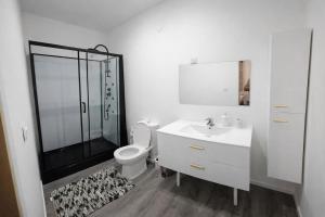 a bathroom with a shower and a toilet and a sink at Bel appartement T2 centre historique in Auxerre