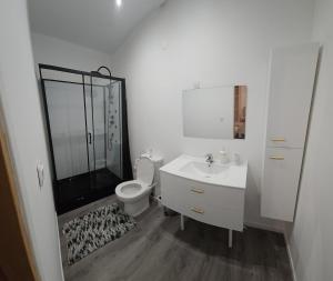 a white bathroom with a toilet and a sink at Bel appartement T2 centre historique in Auxerre