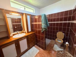a bathroom with a sink and a toilet at Fare Hinenao in Tevaitoa +7 photos