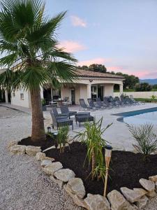 a house with a palm tree and a swimming pool at Mas des Palmiers in Grignan