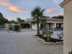 a palm tree in front of a house at Mas des Palmiers in Grignan