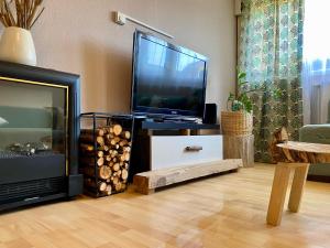 a living room with a flat screen tv and a fireplace at Tóparti Kuckó in Mályi