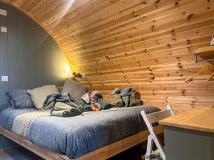 a group of stuffed animals sitting on a bed at Curlew - Uk51340 in Draughton