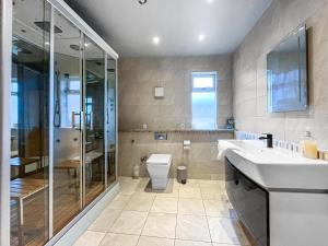 a bathroom with a toilet and a sink and a shower at The Wendover in Rowen