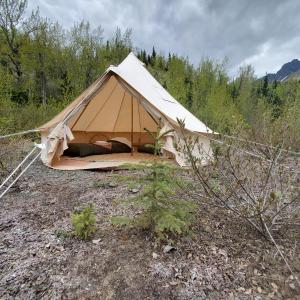 a tent in the middle of a field at Alaskan Glamping in Anchorage