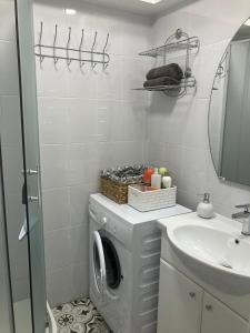 a bathroom with a washing machine and a sink at Kovarnu street apartment in Cēsis
