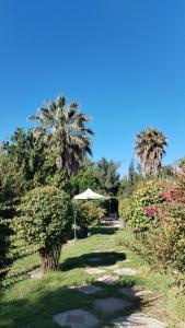 a garden with a table and an umbrella in the grass at Mini Relajo-Tiny House in Pirque