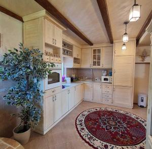 a large kitchen with white cabinets and a red rug at Vila Merak in Gusinje