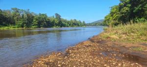 a river with trees on the side of it at JackRoot Athirappilly in Kallana
