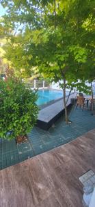 a swimming pool with a tree and a table at Villa Olive in Hikkaduwa