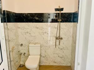 a bathroom with a toilet and a marble wall at Green Crown Villa in Polonnaruwa