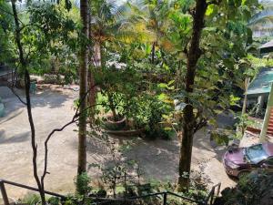 an aerial view of a yard with trees and a car at V6 Nest in Hali Ela