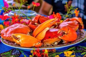 a plate of lobsters on top of a table at Wasini dolphin adventure in Shimoni +21 photos