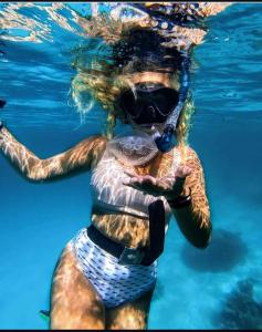 a woman swimming in the water with a turtle at Wasini dolphin adventure in Shimoni