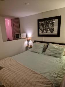 a bedroom with a bed with a picture on the wall at Studio Zebra in Heikant