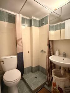 a bathroom with a toilet and a sink at Boho ElTha Lotus in Patra