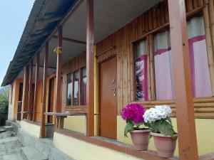 two potted flowers on the window of a building at Meghh Minar Homestay Sillery Gaon in Kalimpong