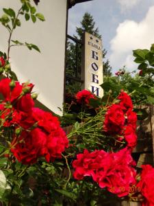 Fotografie z fotogalerie ubytování Bobi Guest House v destinaci Koprivštica