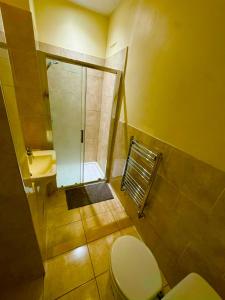 a bathroom with a shower and a toilet and a sink at Babo room in Farnworth
