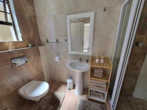 a bathroom with a sink and a toilet and a mirror at Somerset Garden Studio in Somerset West +30 photos