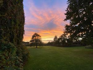 a sunset in a field with a tree in a park at The Bee Garden - Cosy Cabin in Lede +8 photos