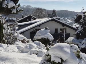 a house covered in snow in front at Villa Relax - Ferienwohnungen & Hallenbad & Relaxgarten in Bodenmais