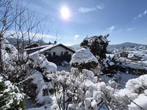 a snow covered yard with a house in the background at Villa Relax - Ferienwohnungen & Hallenbad & Relaxgarten in Bodenmais