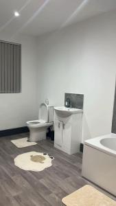 a bathroom with a toilet and a sink at PLUS Properties Westport 2 in Stoke on Trent