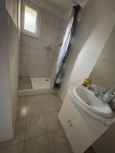 a bathroom with a sink and a shower at Maison flanc de coteau in Turquant +7 photos