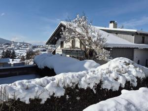 a yard covered in snow next to a house at Villa Relax - Ferienwohnungen & Hallenbad & Relaxgarten in Bodenmais