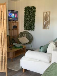 a living room with a couch and a tv at Studio ambiance ZEN in Riantec