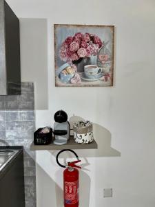 a picture of a vase of roses on a kitchen counter at Residenza Ohana in Isernia