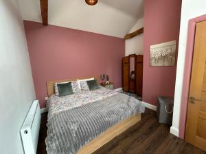 a bedroom with a bed and a purple wall at Rushbrooke cottages in Edenderry