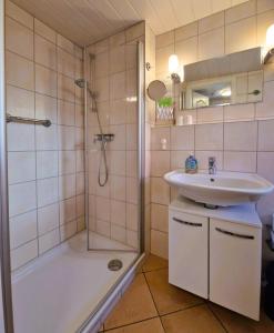 a bathroom with a sink and a shower at Haegerende _Alte Liebe_ in Groß Kirr +9 photos