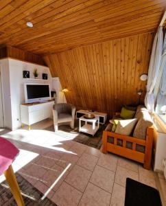a living room with a couch and a tv at Haegerende _Seitensprung_ in Groß Kirr
