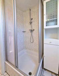 a bathroom with a shower with a glass door at Haegerende _Seitensprung_ in Groß Kirr +8 photos