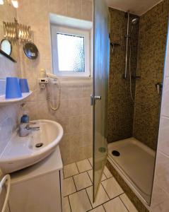 a bathroom with a sink and a shower at Haegerende _Seitensprung_ in Groß Kirr +10 photos