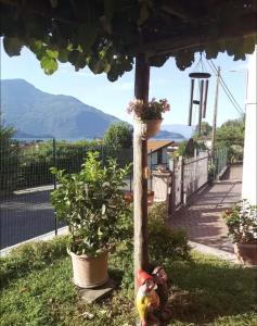 a toy doll sitting in the grass under a pergola at Casetta al Belvedere - Lake View in Vercana