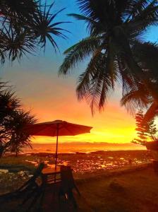 a beach with a palm tree and a chair and an umbrella at Green Sea Turtle in Romblon