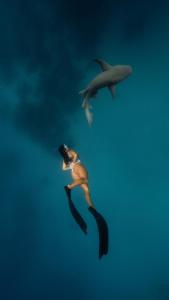 a woman and two dolphins in the water at Shallow Lagoon Sunset in Rasdhoo