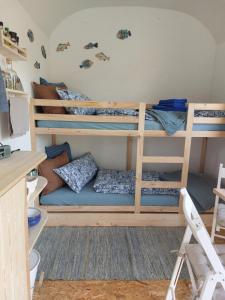 a dorm room with bunk beds and a desk at Schäferwagen Gartenblick Nr 4 in Radebeul