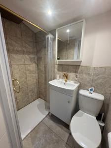 a bathroom with a toilet and a shower and a sink at Maple Gem in Birmingham +17 photos