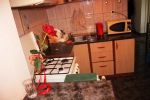 a small kitchen with a stove and a microwave at decebal premium apartment in Bucharest
