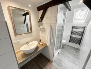 a bathroom with a sink and a mirror at Hof Steinhütten Boutique Apartments in Westerhever +30 photos