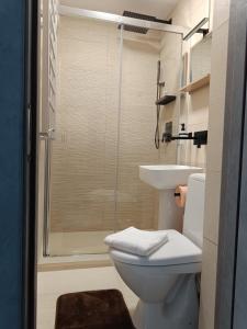 ein Badezimmer mit Dusche, Toilette und Waschbecken in der Unterkunft Harmony Studio in Târgu Secuiesc