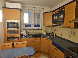 a kitchen with wooden cabinets and a counter top at Olé in Zlatá Olešnice