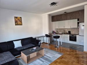 ein Wohnzimmer mit schwarzem Sofa und eine Küche in der Unterkunft Teja- new apartment for 4 person with free parking space in Belgrad
