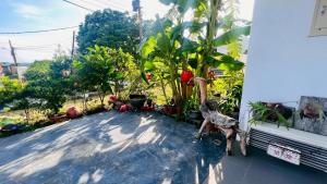 a balcony with plants on the side of a building at 花一村の宿 Huayicun Homestay in Hengchun South Gate +3 photos