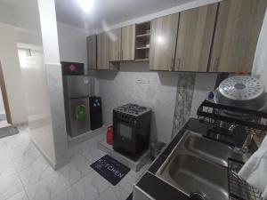 a small kitchen with a stove and a sink at Modern staycation -ruaka in Ruaka +11 photos